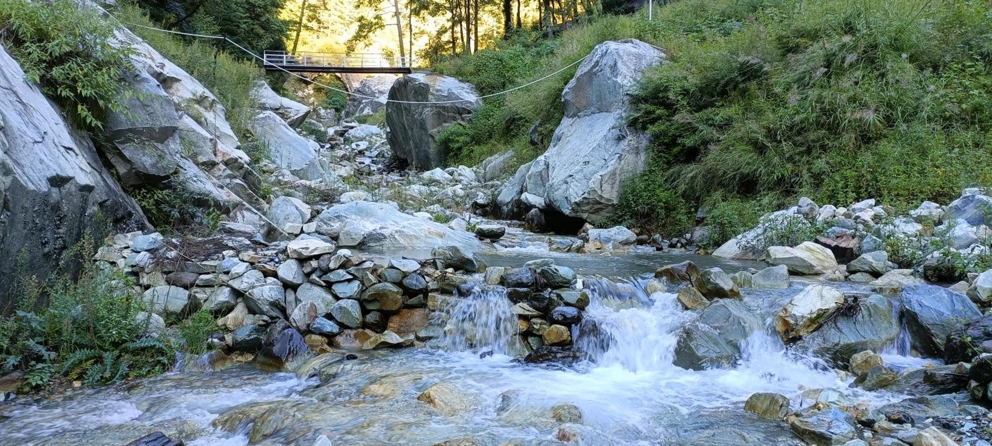 Hotel Dog N Hill Kasol Esterno foto