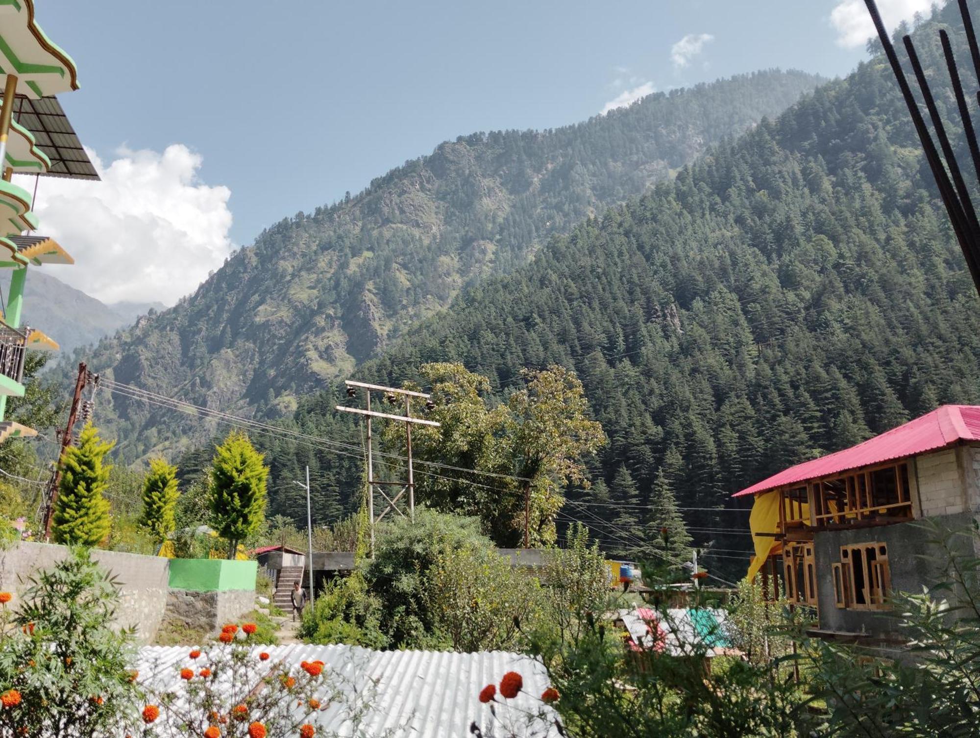 Hotel Dog N Hill Kasol Esterno foto