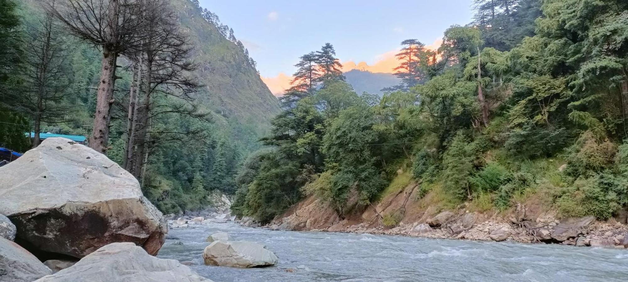 Hotel Dog N Hill Kasol Esterno foto