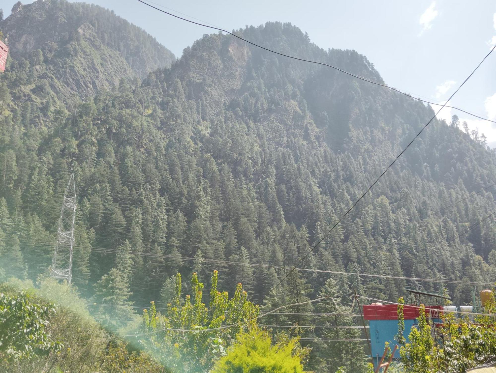 Hotel Dog N Hill Kasol Esterno foto