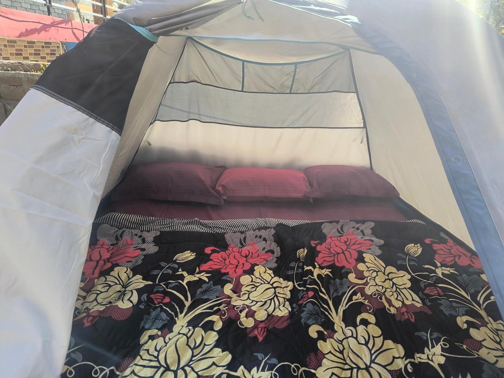 Hotel Dog N Hill Kasol Esterno foto