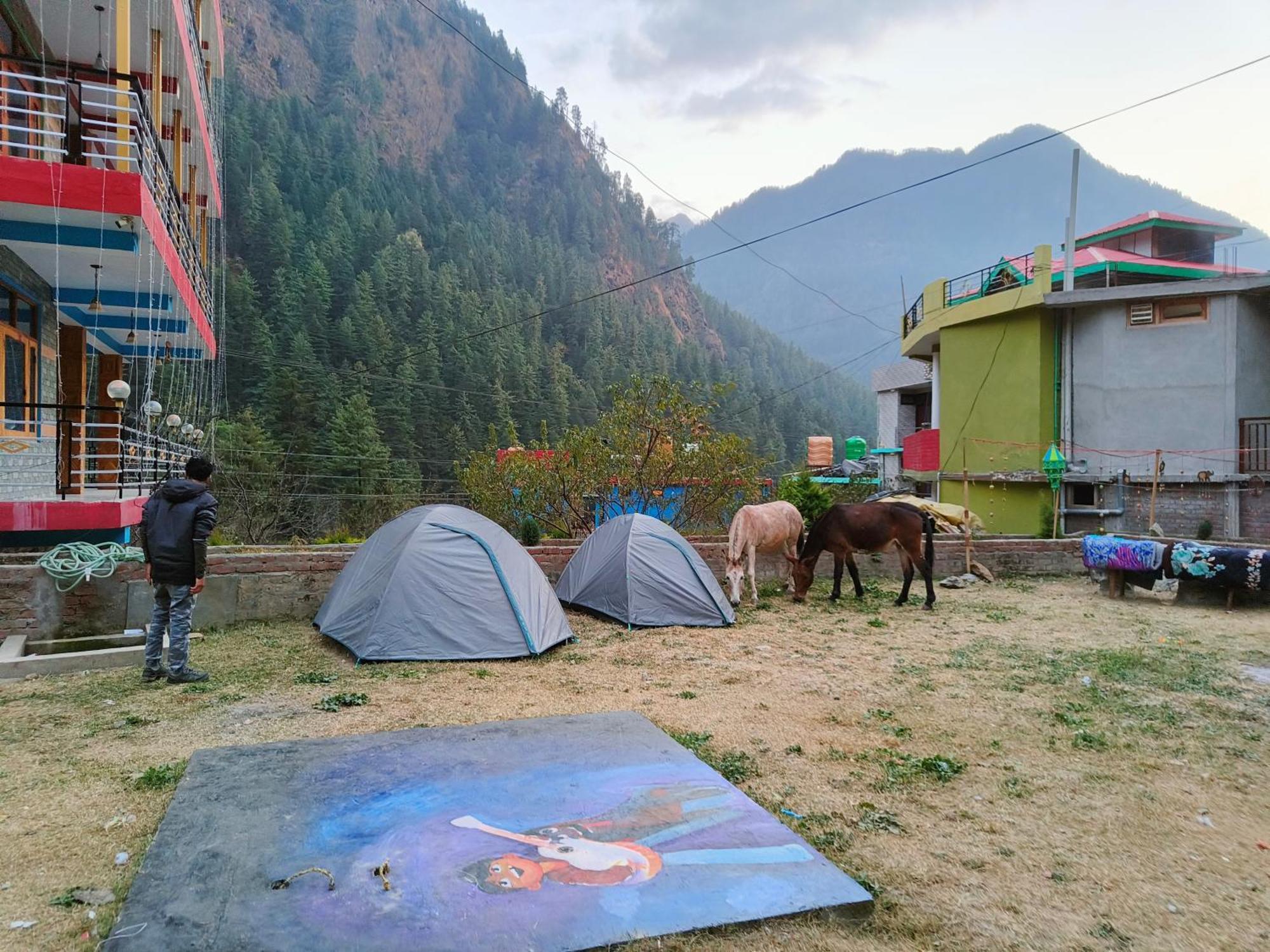 Hotel Dog N Hill Kasol Esterno foto